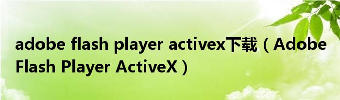 adobe flash player activex下载(Adobe Flash Player ActiveX)