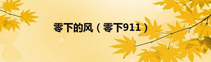 零下的风(零下911)