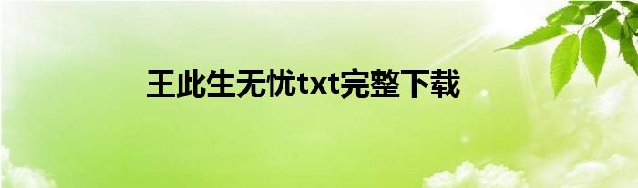 王此生无忧txt完整下载