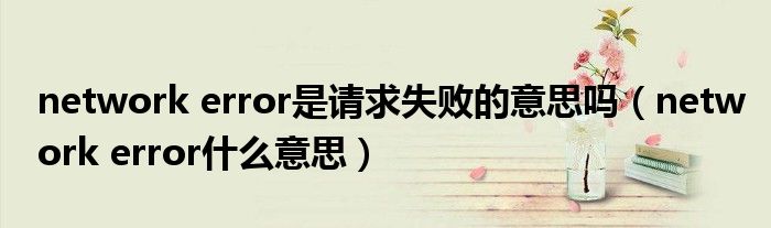 network error是请求失败的意思吗(network error什么意思)