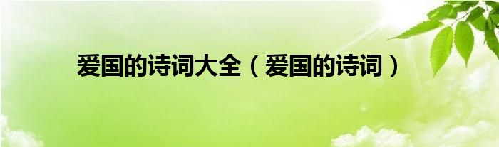 爱国的诗词大全(爱国的诗词)
