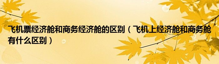 飞机票经济舱和商务经济舱的区别（飞机上经济舱和商务舱有什么区别）
