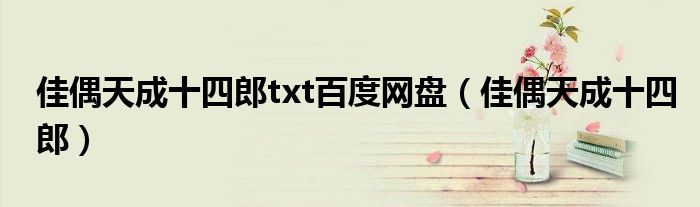 佳偶天成十四郎txt百度网盘(佳偶天成十四郎)