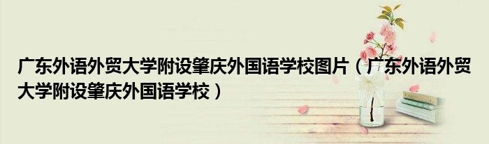 广东外语外贸大学附设肇庆外国语学校图片(广东外语外贸大学附设肇庆外国语学校)