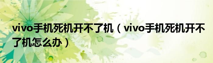 vivo手机死机开不了机(vivo手机死机开不了机怎么办)