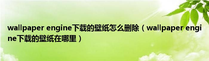 wallpaper engine下载的壁纸怎么删除(wallpaper engine下载的壁纸在哪里)
