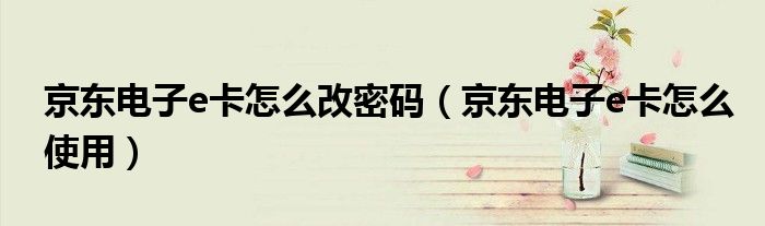 京东电子e卡怎么改密码(京东电子e卡怎么使用)