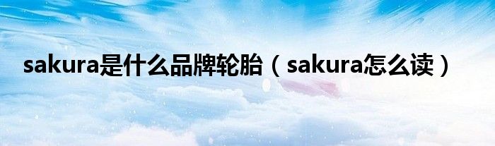 sakura是什么品牌轮胎(sakura怎么读)