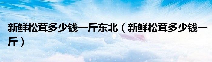 新鲜松茸多少钱一斤东北(新鲜松茸多少钱一斤)
