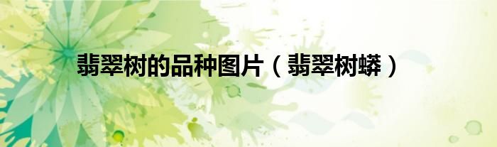 翡翠树的品种图片(翡翠树蟒)