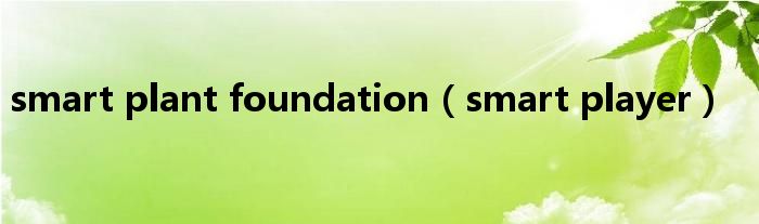smart plant foundation（smart player）