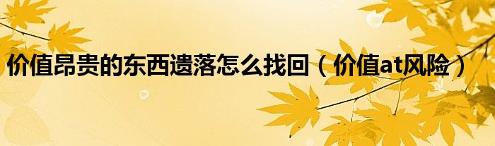 价值昂贵的东西遗落怎么找回(价值at风险)