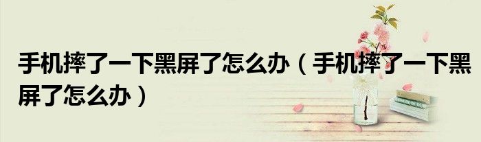 手机摔了一下黑屏了怎么办(手机摔了一下黑屏了怎么办)