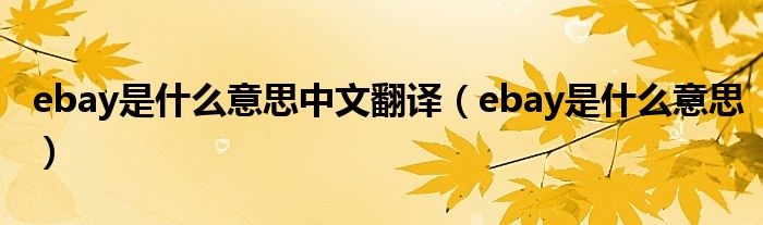 ebay是什么意思中文翻译(ebay是什么意思)