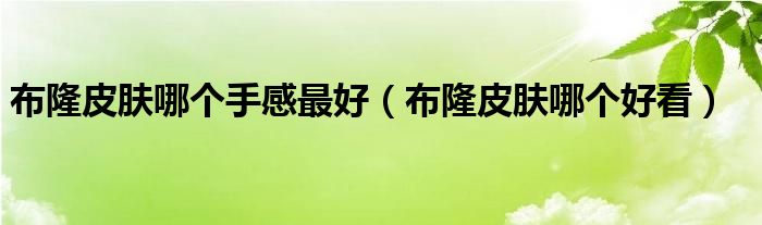 布隆皮肤哪个手感最好(布隆皮肤哪个好看)