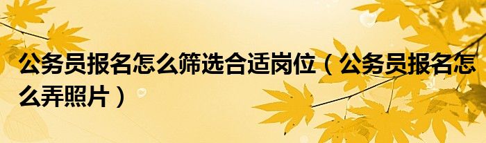 公务员报名怎么筛选合适岗位(公务员报名怎么弄照片)