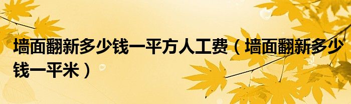 墙面翻新多少钱一平方人工费(墙面翻新多少钱一平米)