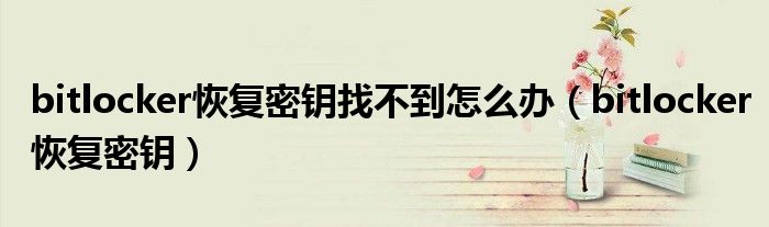 bitlocker恢复密钥找不到怎么办(bitlocker恢复密钥)