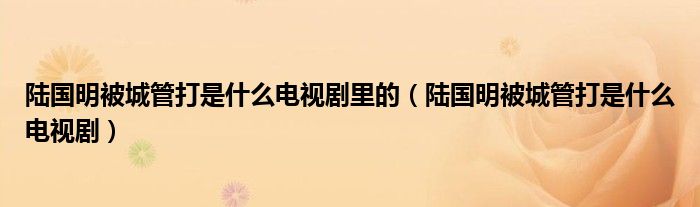 陆国明被城管打是什么电视剧里的(陆国明被城管打是什么电视剧)