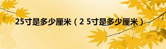 25寸是多少厘米(2 5寸是多少厘米)