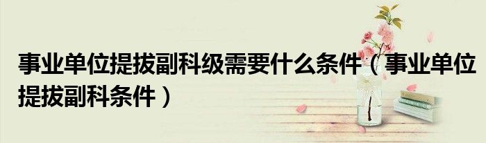 事业单位提拔副科级需要什么条件(事业单位提拔副科条件)