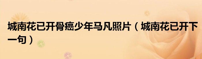 城南花已开骨癌少年马凡照片(城南花已开下一句)