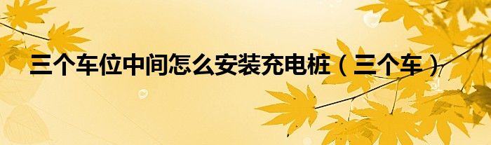 三个车位中间怎么安装充电桩(三个车)