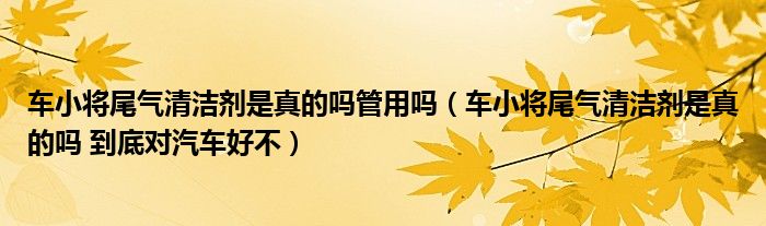 车小将尾气清洁剂是真的吗管用吗(车小将尾气清洁剂是真的吗 到底对汽车好不)
