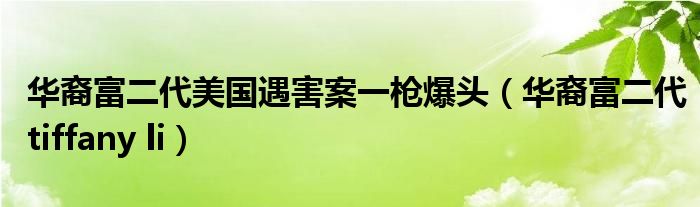 华裔富二代美国遇害案一枪爆头(华裔富二代tiffany li)
