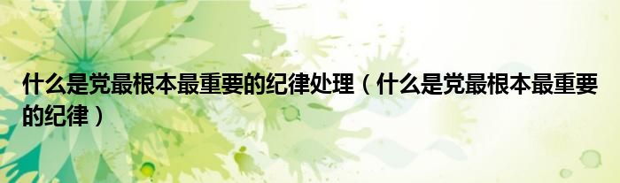 什么是党最根本最重要的纪律处理（什么是党最根本最重要的纪律）