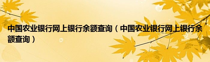 中国农业银行网上银行余额查询(中国农业银行网上银行余额查询)