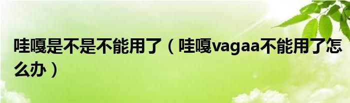 哇嘎是不是不能用了(哇嘎vagaa不能用了怎么办)