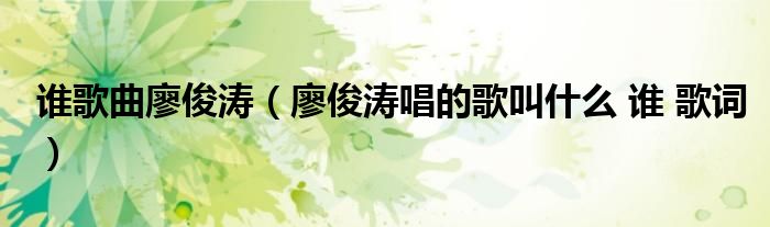谁歌曲廖俊涛(廖俊涛唱的歌叫什么 谁 歌词)