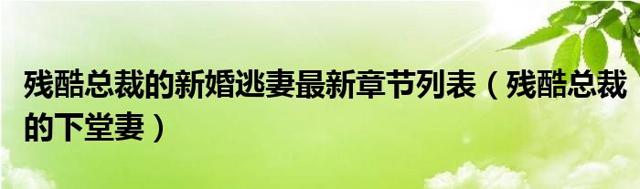残酷总裁的新婚逃妻最新章节列表(残酷总裁的下堂妻)