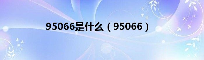 95066是什么(95066)