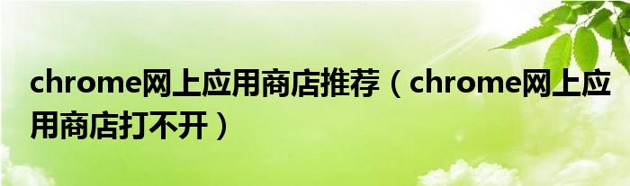 chrome网上应用商店推荐(chrome网上应用商店打不开)