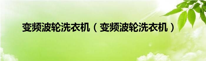 变频波轮洗衣机(变频波轮洗衣机)