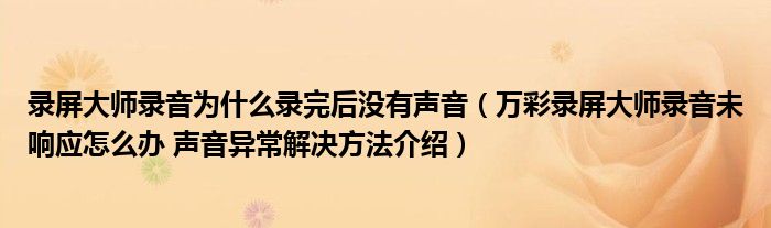 录屏大师录音为什么录完后没有声音(万彩录屏大师录音未响应怎么办 声音异常解决方法介绍)