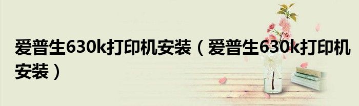 爱普生630k打印机安装(爱普生630k打印机安装)
