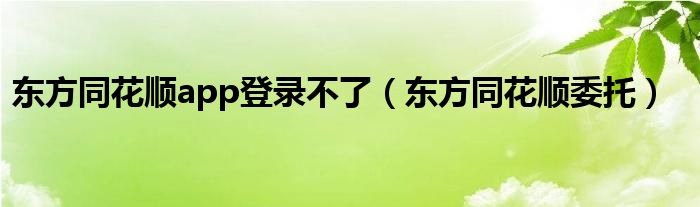 东方同花顺app登录不了(东方同花顺委托)