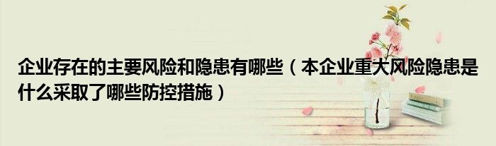 企业存在的主要风险和隐患有哪些(本企业重大风险隐患是什么采取了哪些防控措施)
