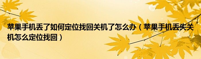 苹果手机丢了如何定位找回关机了怎么办(苹果手机丢失关机怎么定位找回)