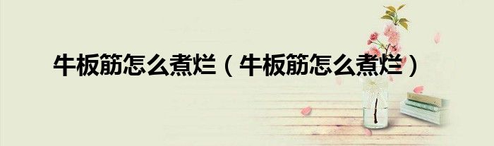 牛板筋怎么煮烂(牛板筋怎么煮烂)