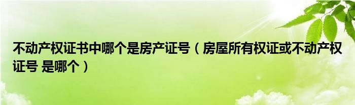 不动产权证书中哪个是房产证号(房屋所有权证或不动产权证号 是哪个)