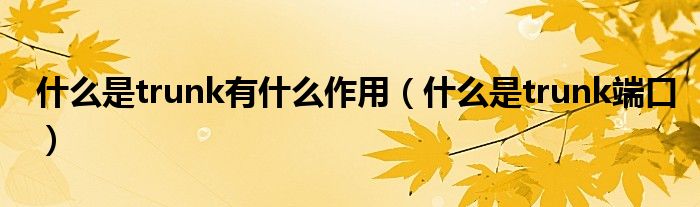 什么是trunk有什么作用(什么是trunk端口)