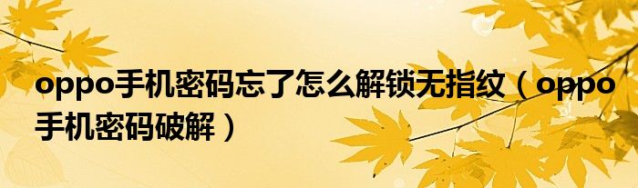 oppo手机密码忘了怎么解锁无指纹(oppo手机密码破解)