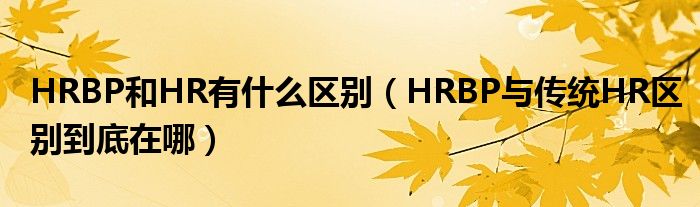 HRBP和HR有什么区别(HRBP与传统HR区别到底在哪)