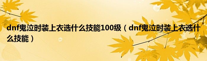 dnf鬼泣时装上衣选什么技能100级(dnf鬼泣时装上衣选什么技能)