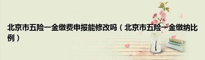 北京市五险一金缴费申报能修改吗(北京市五险一金缴纳比例)