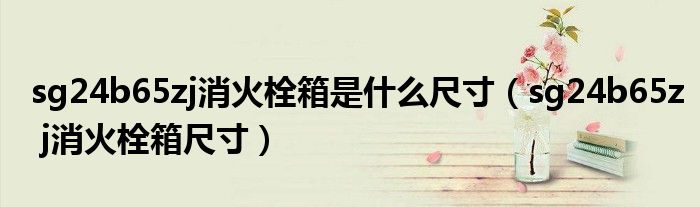 sg24b65zj消火栓箱是什么尺寸(sg24b65z j消火栓箱尺寸)